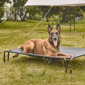 CanboPet-Cama Elevada de Lujo para Perro Grande, Cama Plegable de Acampada PARA EL Verano - Product Image 3