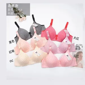 Full Cup Thin Underwear Small Bra Plus Size Wireless Adjustable Lace Bra  Breast Cover B C D Cup Large Size Lace Bras (Bands Size : 38 85, Color :  Purple) : : Clothing, Shoes & Accessories