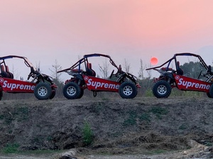 Buggy de gas para adultos, <span class=keywords><strong>2021</strong></span> nuevo, 200cc - Product Image 5