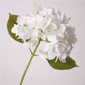 <span class=keywords><strong>Meetyou</strong></span> Modèle 100 Fleur artificielle en soie Hortensia Corail Magique à toucher réel, Décoration douce nordique pour la maison et l'hôtel, Mariage, Bonsaï - Product Image 5