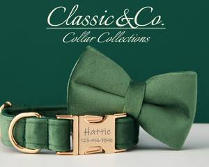 Forest Veet – collier personnalisé pour chien, ensemble laisse et nœud papillon, gravure personnalisée du nom de l'animal, boucle en métal, cadeau d'anniversaire pour chiot, livraison gratuite - Product Image 3