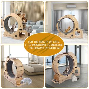<span class=keywords><strong>Rueda</strong></span> deportiva para gatos 4 en 1, marco de escalada de madera, <span class=keywords><strong>rueda</strong></span> de Fitness para gatos, para rascar gatos en interiores - Product Image 4