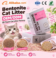 Litière pour chat en bentonite de sodium rose de qualité supérieure, faible teneur en poussière, agglomération rapide et ferme, anti-adhésive, facile à nettoyer, fabrication OEM, marque privée, vente en gros