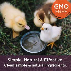 Complément alimentaire <span class=keywords><strong>pour</strong></span> poulets de qualité supérieure - Friandises à base de plantes <span class=keywords><strong>pour</strong></span> poules pondeuses - Enrichissement de l'alimentation avicole à base d'algues riches en oméga 3 - Product Image 3