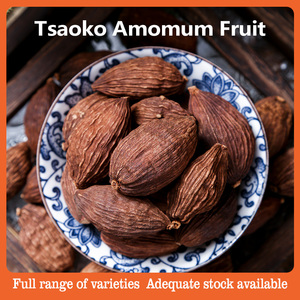 Amomum Tsaoko Crevost Et Lemaire Tsaoko Cao <span class=keywords><strong>Guo</strong></span> - Product Image 2