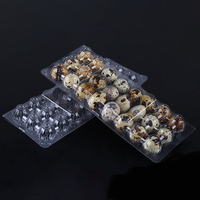 Boîte/conteneur d'emballage de plateau d'oeufs de caille en plastique transparent jetable de haute qualité 24 trous sans boucle