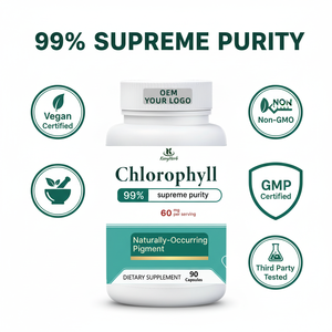 Suplemen Kapsul Klorofil Body Magic Superfood Hijau Berkualitas Tinggi untuk Kesehatan dan Konsentrasi - Product Image 2