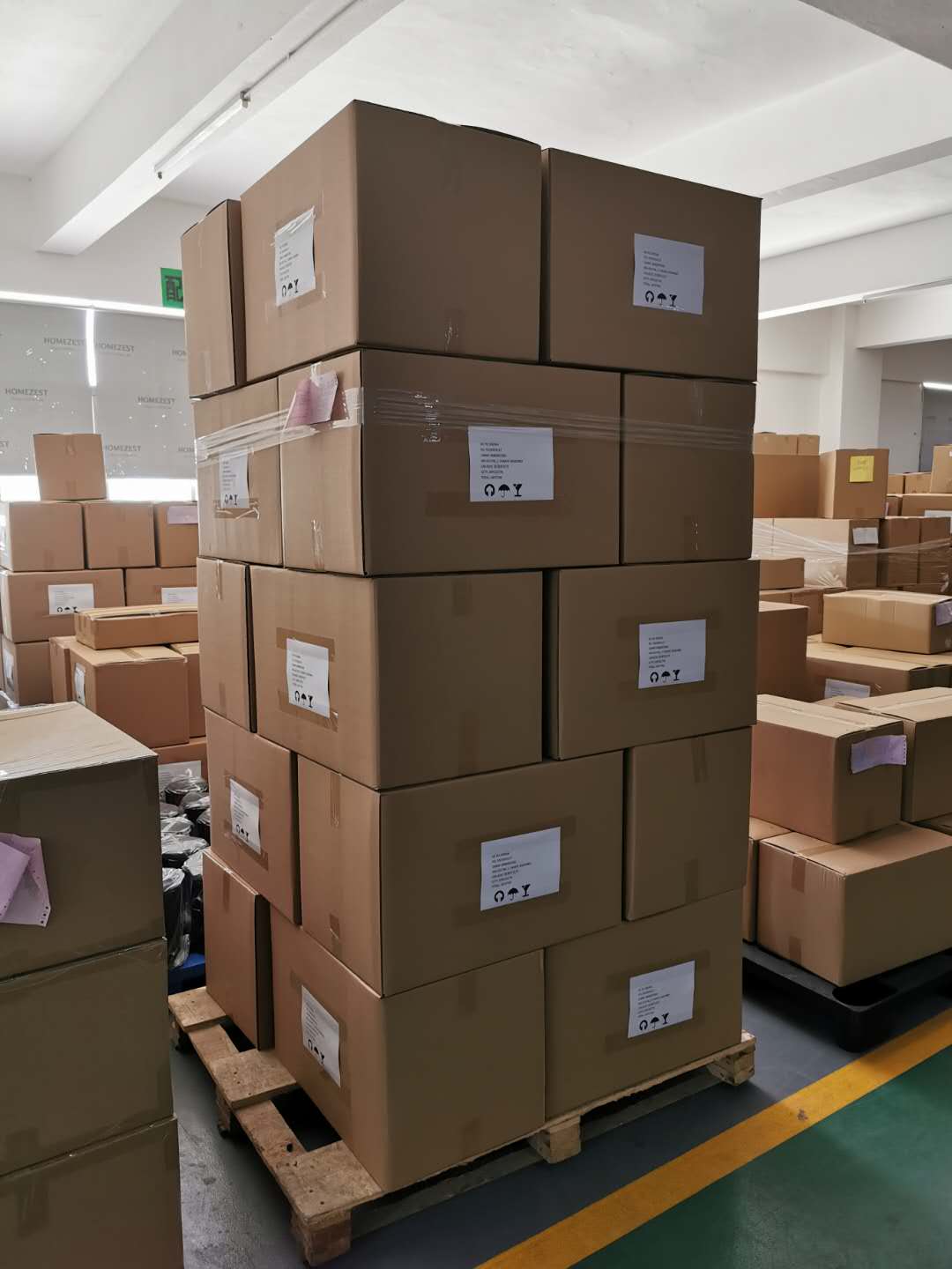 GD6001T Household Electric Coffee Grinder Machine Automatic Stainless Steel