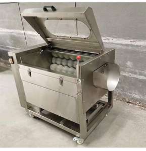 Industrielle Wasch- und Schälmaschine für Kartoffeln, Karotten und Ingwer aus Edelstahl zum Fabrikpreis - Product Image 4