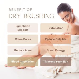 <span class=keywords><strong>Spazzola</strong></span> per Dry Brushing, Trattamento Linfodrenante e Anticellulite, Esfoliazione Spa Organica, <span class=keywords><strong>Spazzola</strong></span> per Massaggio <span class=keywords><strong>con</strong></span> Setole di Cinghiale - Product Image 6