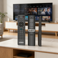 Télécommande vocale de remplacement pour applications domestiques, compatible avec les décodeurs TV, avec fonction d'apprentissage