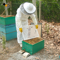 Exclusion de reine d'apiculture en plastique à 8 cadres pour garder la reine séparée des boîtes à miel dans une ruche d'abeilles
