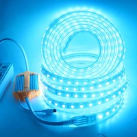 Télécommande RGB pour bandes LED intelligentes 5050 AC110V 220V IP65 10W 60 LED 14mm de largeur SMD5050 RGB Rouleau de 100m Bandes LED RGB