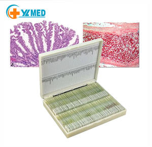 Histologie von menschlichen eierstock tissue rutschen - Product Image 1