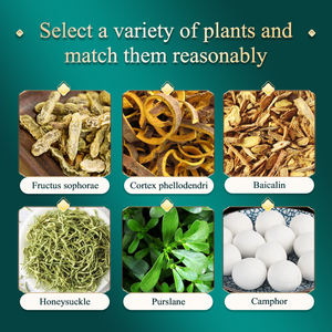 OEM Chinese Natural Herbal Hämorrhoiden Creme Interne und externe Creme Hämorrhoiden Original 30g - Product Image 3