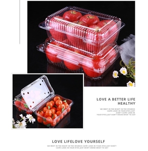 Nhà máy tùy chỉnh trái cây lưu trữ bao bì vỏ sò <span class=keywords><strong>container</strong></span> rõ ràng thân thiện với môi vỉ thực phẩm tươi cấp nhựa bé thực phẩm bánh hamburger - Product Image 5