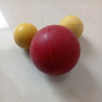 La pistola de colores disparó la munición de pelota de goma de silicona (fabricada en China)