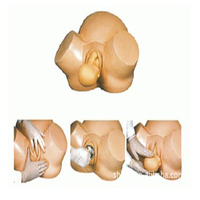Modelo de Entrenamiento Avanzado en Obstetricia y Ginecología, Realista, Anatómico, para Escuelas de Medicina, Certificado ISO, Completamente Funcional, de PVC