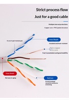 Câble Ethernet CAT5 Double Blindage 100m PVC Cuivre Sans Oxygène Paire Torsadée Huit Conducteurs Surveillance Domicile Haut Débit