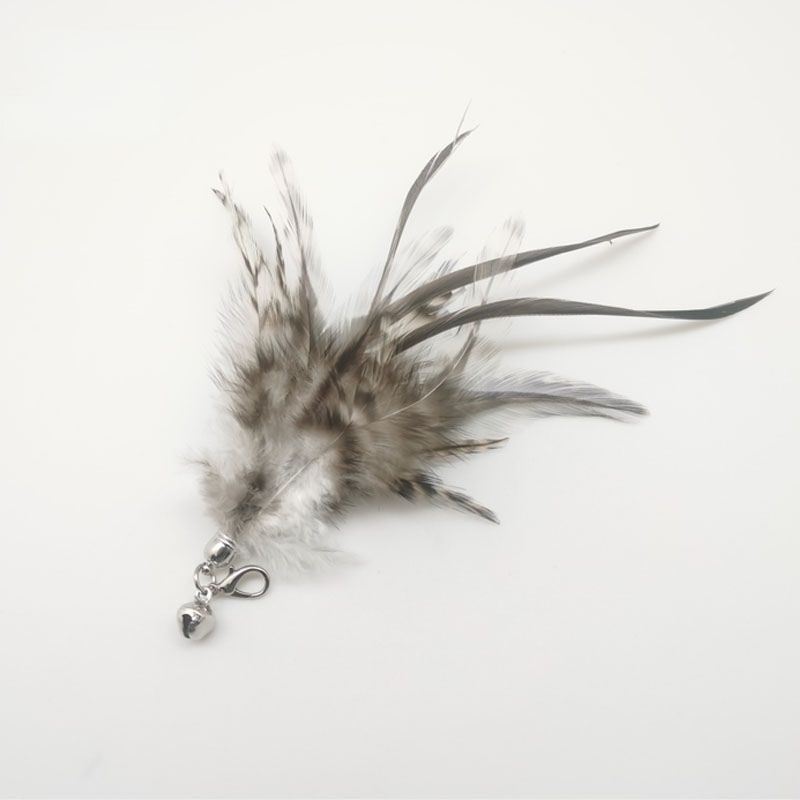 ลู่เจียเจี้ยน-เกรย์