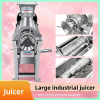 Grande promotion : Extracteur de jus à vis, presse-fruits spirale, machine à pulper les fruits