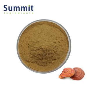 Organik <span class=keywords><strong>Reishi</strong></span> Ekstresi <span class=keywords><strong>Reishi</strong></span> Mantarı Ekstresi Tozu - Product Image 1