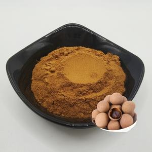 Экстракт пищевого качества, водорастворимый порошок из плоти Лонган, сырье, порошок Лонган в барабанной упаковке - Product Image 1