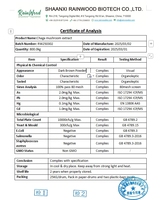 Poudre de champignon Chaga biologique Chaga 50% Polysaccharides Extrait de champignon Supplément de champignon