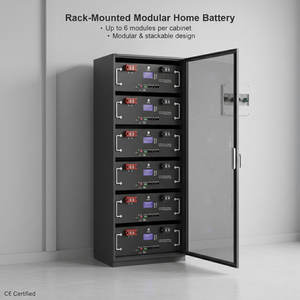 Sistema de Almacenamiento de Energía para el Hogar, Batería LiFePO4 de 51.2V 200Ah para Montaje en Rack, 10kWh, Respaldo de Energía Solar para el Hogar, 6000 Ciclos - Product Image 2