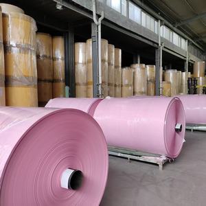 NCR 无碳纸 48g-120g 数码印刷 蓝色/黑色图像 胶印兼容 - Product Image 4