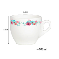 BENELUCK Ensemble Tasse et Soucoupe en Porcelaine Style Marocain Classique, Motif Floral Pastoral Personnalisé, Écologique, Hunan 180ml BL-D036 Maison