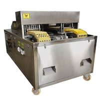 Machine de traitement des olives automatisée Machine de dénoyautage des olives en acier inoxydable à haute efficacité à vendre