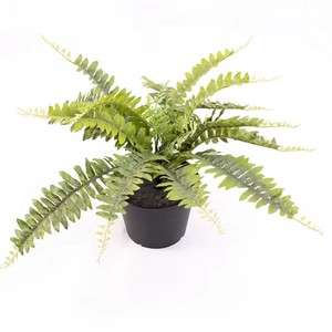 Faux fougère de Boston Offre Spéciale en pot pour la maison ou l'extérieur <span class=keywords><strong>plante</strong></span> artificielle pour le jardin ou le salon décoration tissu matériel - Product Image 2