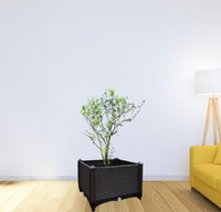 Jardinière pour la plantation de légumes sur le toit et le balcon de la maison, jardin potager sur le balcon de la maison