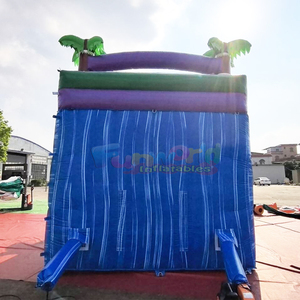 Toboggan aquatique gonflable tropical pour enfants, pour fêtes en plein air, usage commercial, avec zone de jeux aquatique. - Product Image 4