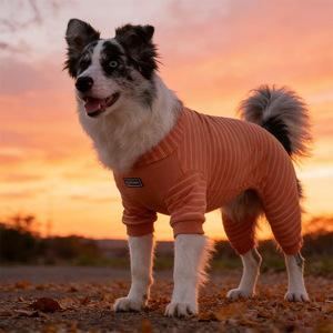 Pyjama d'hiver pour animaux de compagnie, combinaison épaisse à col haut et extensible, vêtements pour chiens à quatre pattes pour grands chiens - Product Image 2