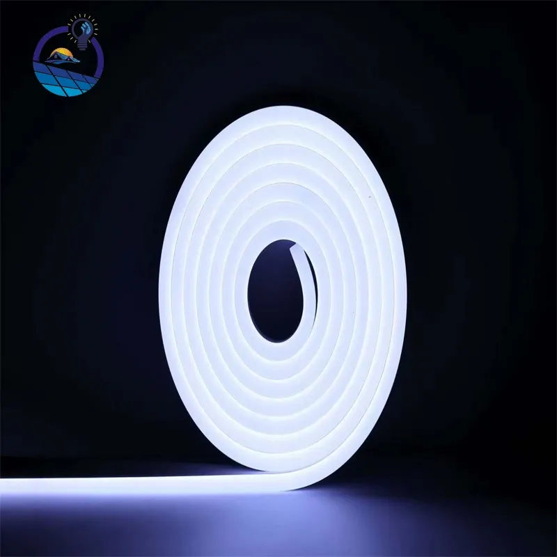 On sale 5M 50M 6x12mm 8x16mm neon light DC12V 24V AC110V 220V Single Color rgb neon strip Silicone pvc led flex neon sign light