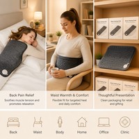 Ceinture chauffante en cèdre pour le dos et les lombaires, compresse chaude menstruelle, thérapie par la chaleur, physiothérapie, 9 niveaux de chaleur, profilée