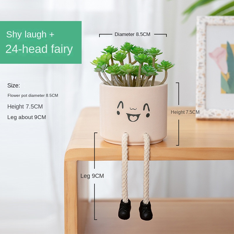 Shy Smile + Simulación 24-Head Fairy