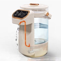 Bouilloire Électrique en Verre Borosilicate Grande Capacité 4L Sur Mesure, 800W, Température Réglable, Chauffe-Eau B2B