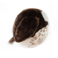 Jouets en peluche personnalisés en gros Poupées Brid Animal à fourrure Jouet en peluche hibou