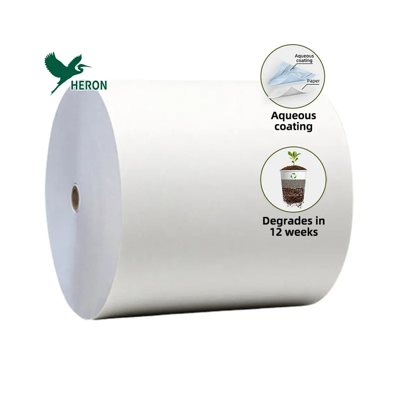 Umweltfreundliche wasserbasierte Beschichtungspapierrollen Alternative PE/ Doppelwandige kaltgeschählte wasserdichte Papierbecherrollen