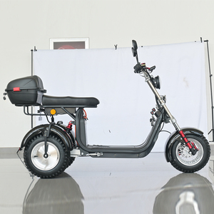 Motocicleta Eléctrica de Tres Ruedas, Triciclo, 25A 30A, Dos <span class=keywords><strong>Baterías</strong></span> Extraíbles, Neumático Todoterreno de 10 Pulgadas, Venta Directa de Fábrica SHANSU - Product Image 1