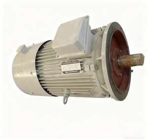 पेशेवर टिकाऊ 45 किलोवाट कम आरपीएम पनबिजली संयंत्र के लिए 300 आरपीएम स्थायी चुंबक - Product Image 2