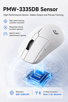 Souris de jeu sans fil FPW en gros, capteur PAW3335, 16000 DPI, RGB, rechargeable, ergonomique, programmable, souris d'ordinateur OEM