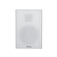 Thinuna Haut-parleur XS-25 5 pouces super mince 38mm Système de sonorisation Haut-parleur mural invisible 4 Ohm 20W Haut-parleur mural à écran plat mince