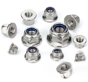 Stainless Carbon Steel Nonmetal DIN 6926 China Supplier Hexagon Flange Nylon Lock Nuts
