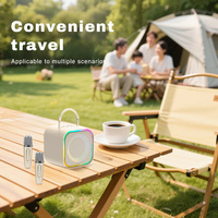 Cadeau de noël lumière LED 1200mAh 5W HD BT5.3 2 sans fil petit micro Mini karaoké Machine pour enfants enfants adulte fête à la maison