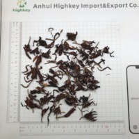 4101 Fleurs de Michelia Champaca, thé naturel aromatisé, thé en vrac en sachet ou en boîte