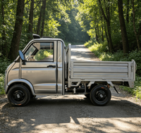 Camionnette électrique de transport de marchandises pour adultes, vente directe usine 2026, quatre roues, nouvelle énergie, moteur sans balais, batterie au plomb-acide, 1000 kg